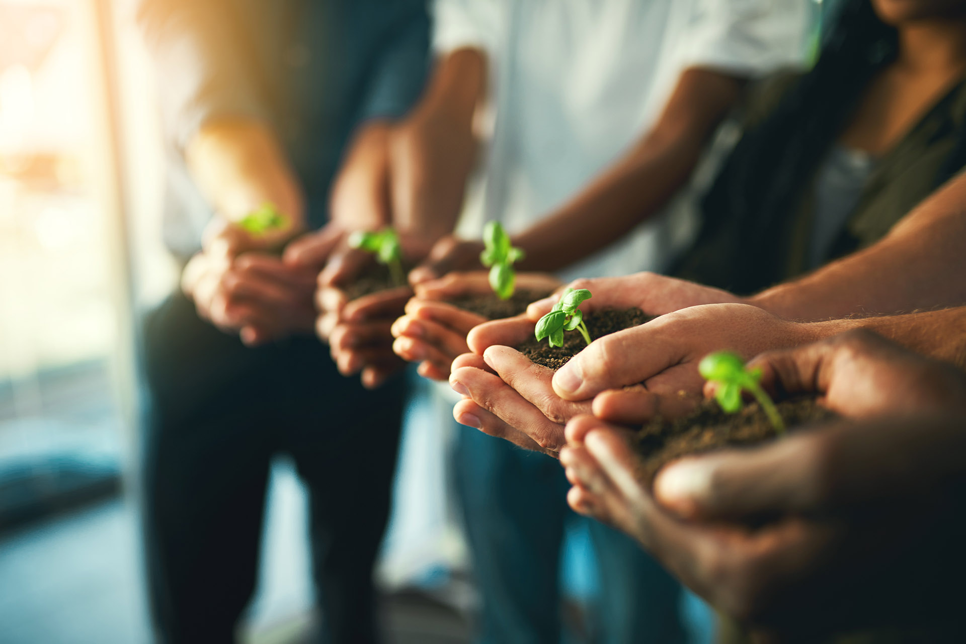 Avedomum. Projektentwicklung